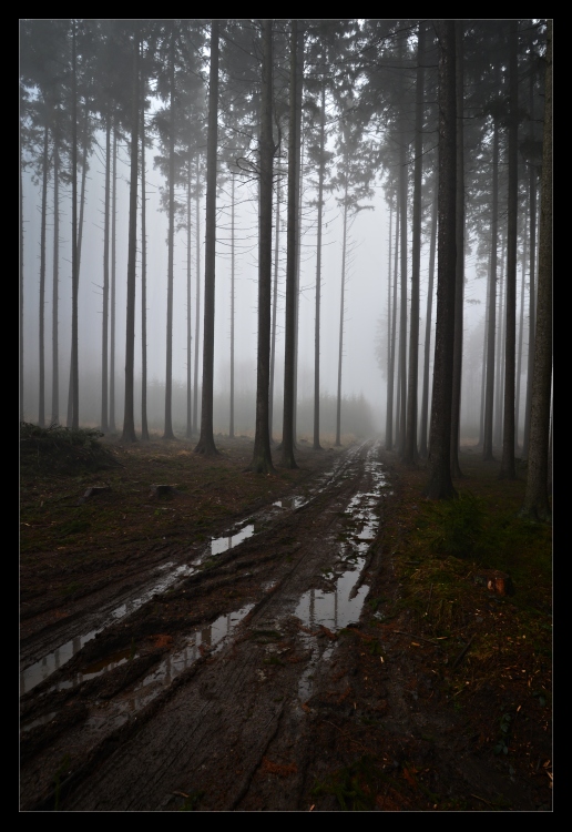 Pozdní melanchologie podzimu III.