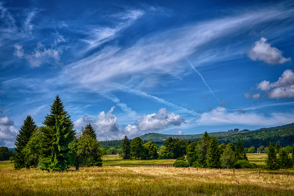 Šumava - Knížecí Pláně