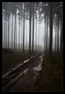 Pozdní melanchologie podzimu III.