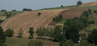 Roženeckou pasekou.