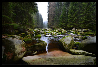 ŠUMAVA I.2014