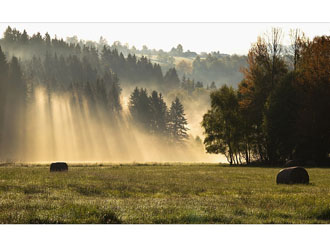 Šumava u Rohanova 4.5.2014