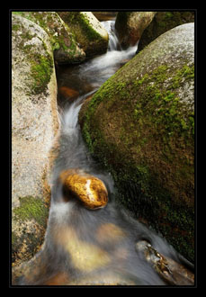 Šumava