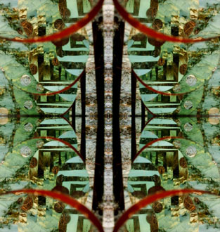 Z cyklu: KRAJINOORNAMENT